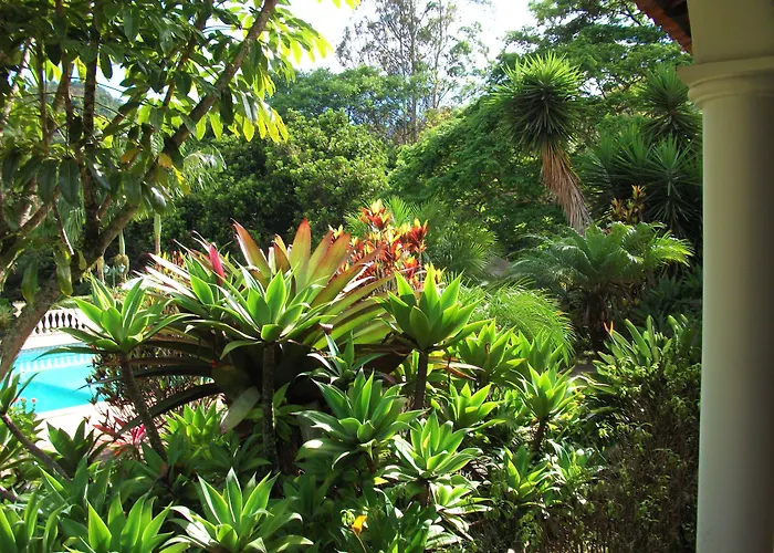 Ninho Da Arara Hotel Itaipava